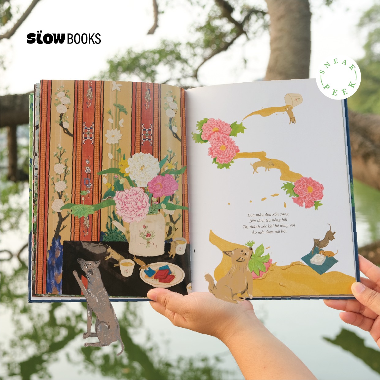(Bìa cứng – In màu) DẠO BƯỚC VỚI THỜI GIAN – Maru – Quỳnh Hương (Hũ) – Slowbooks