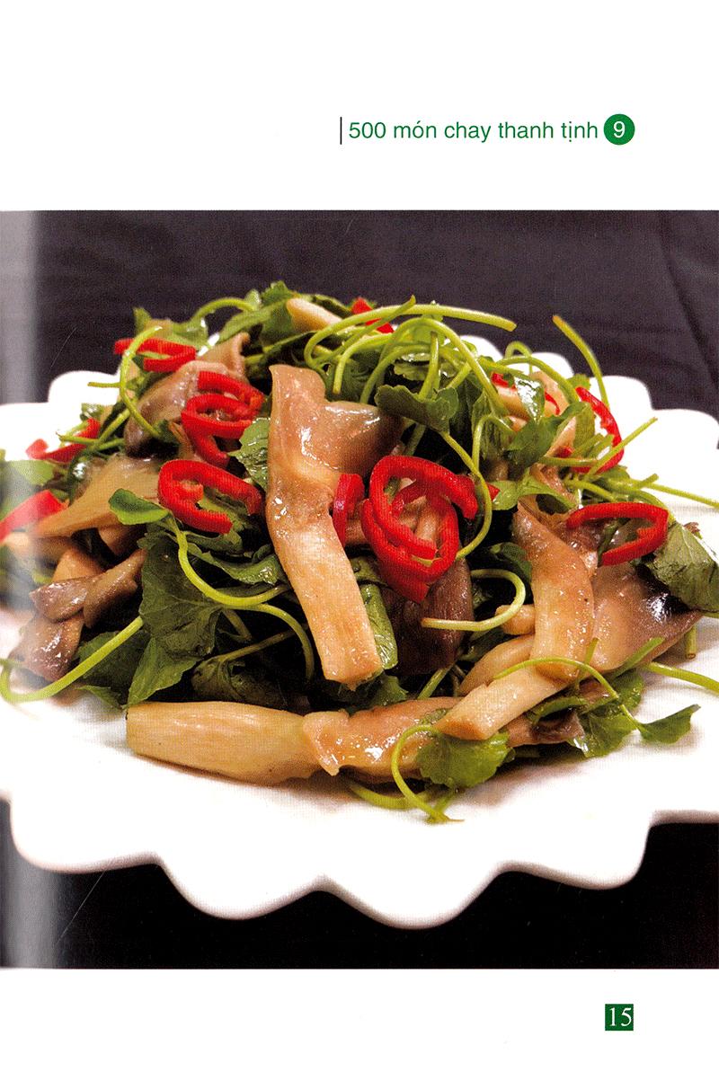 500 Món Chay Thanh Tịnh - Tập 9
