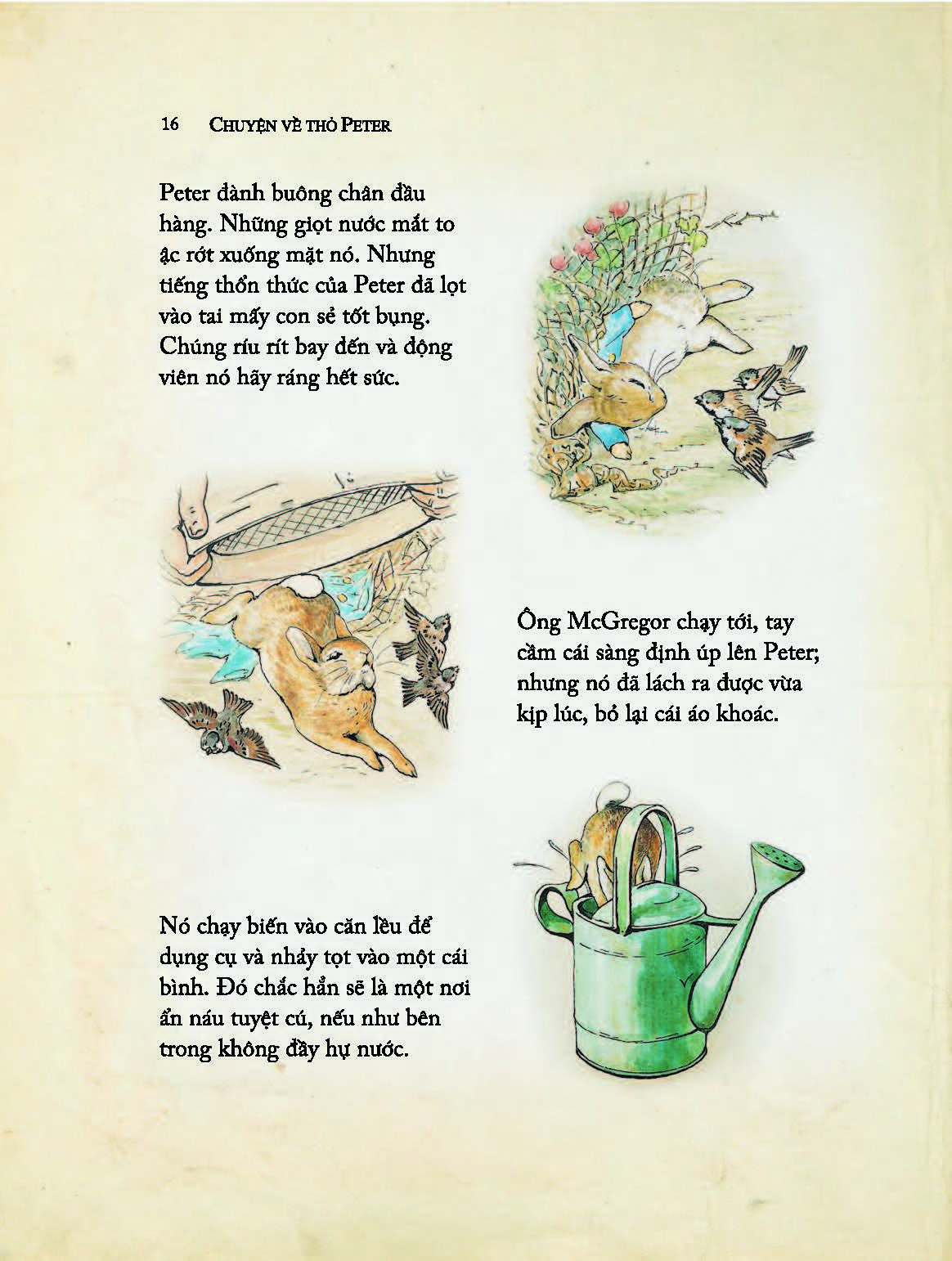 Một Cậu Thỏ Nghịch Ngợm Kinh Khủng - Tuyển Tập Những Truyện Hay Nhất Của Beatrix Potter (Tái bản 2024) - Beatrix Potter; Ngô Hà Thu dịch
