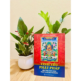 Sách - Tinh yếu Phật Pháp - Nền Tảng Thực Hành Pháp Tu Mở Đầu Ngondro