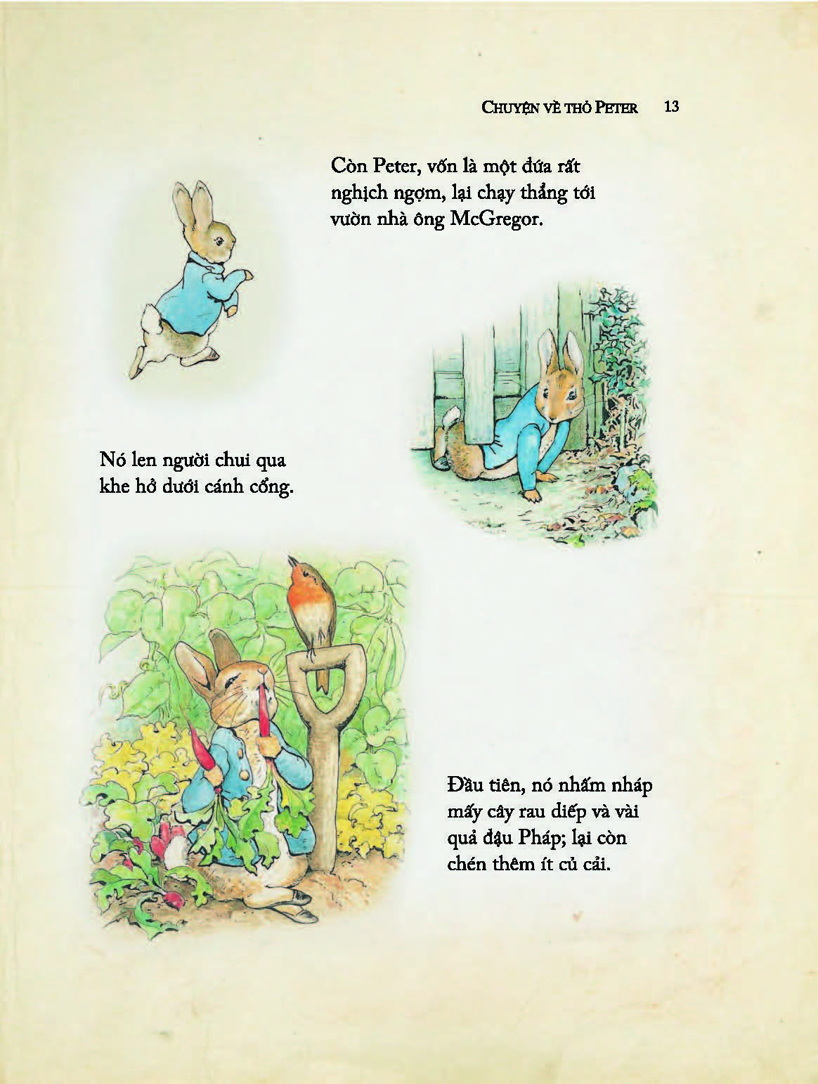Một Cậu Thỏ Nghịch Ngợm Kinh Khủng - Tuyển Tập Những Truyện Hay Nhất Của Beatrix Potter (Tái bản 2024) - Beatrix Potter; Ngô Hà Thu dịch