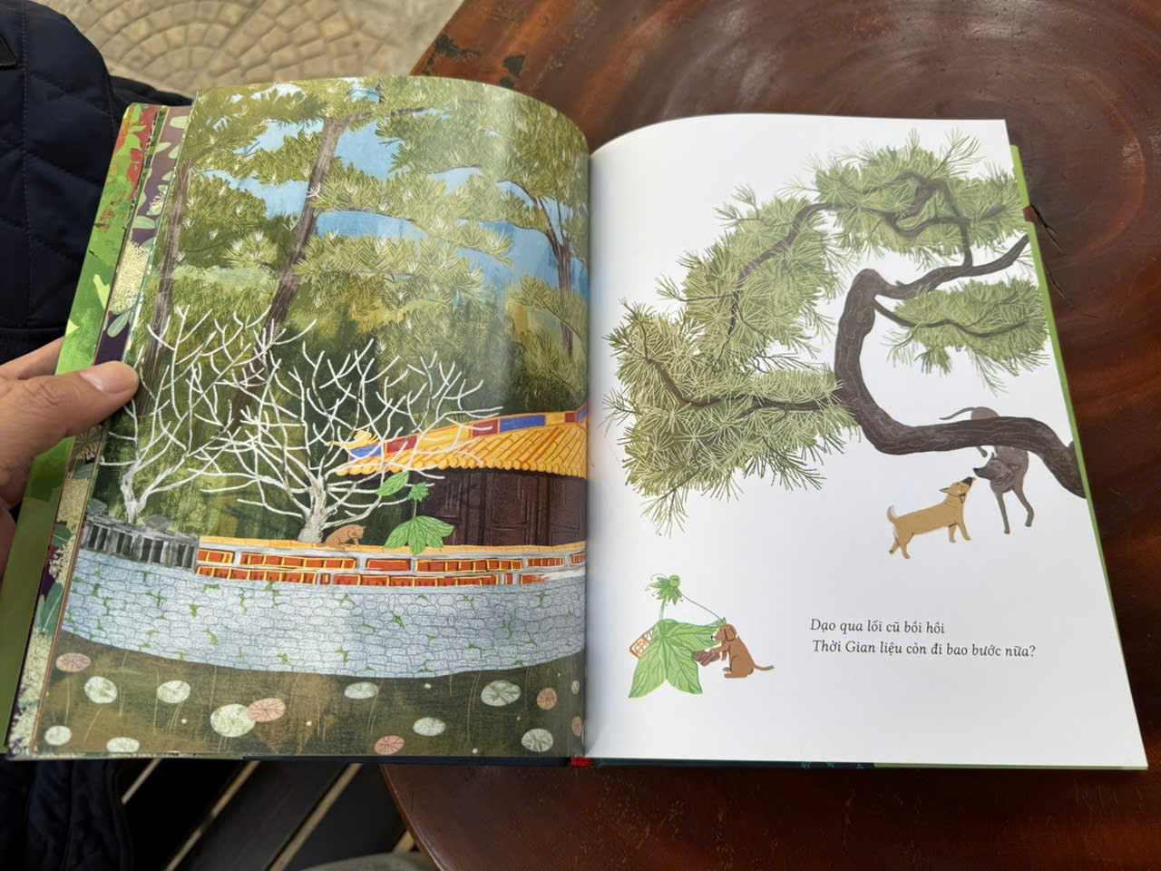 (Bìa cứng – In màu) DẠO BƯỚC VỚI THỜI GIAN – Maru – Quỳnh Hương (Hũ) – Slowbooks