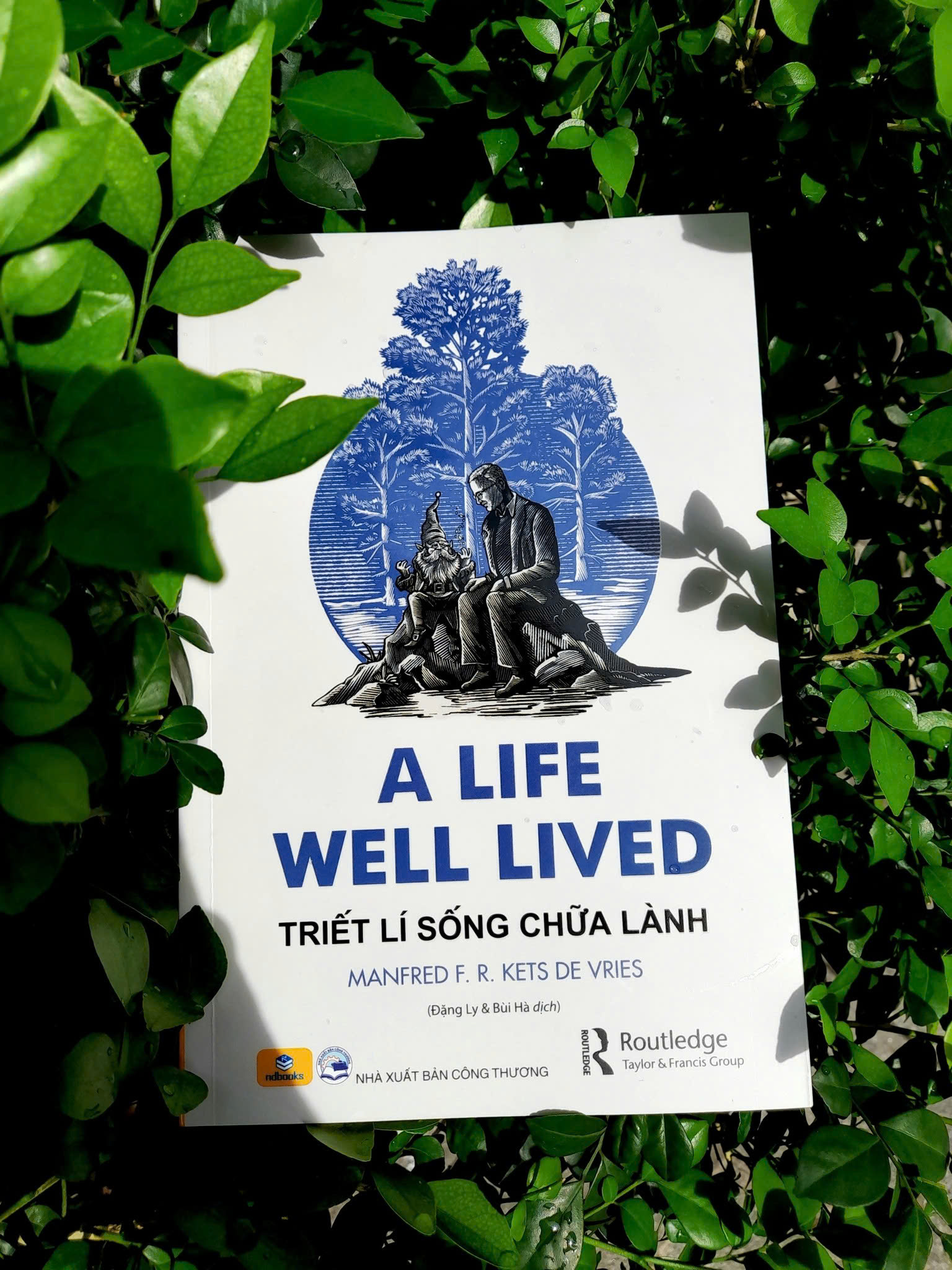 Sách - A Life Well Lived Triết Lí Sống Chữa Lành - ndbooks