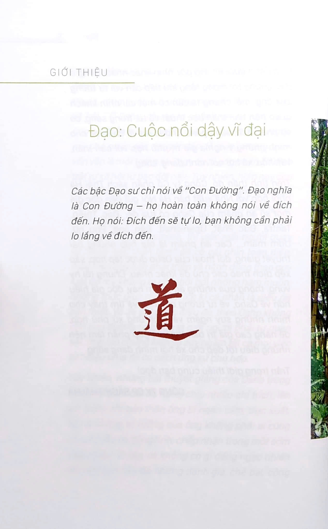 Osho - Đạo (Tái Bản 2022)