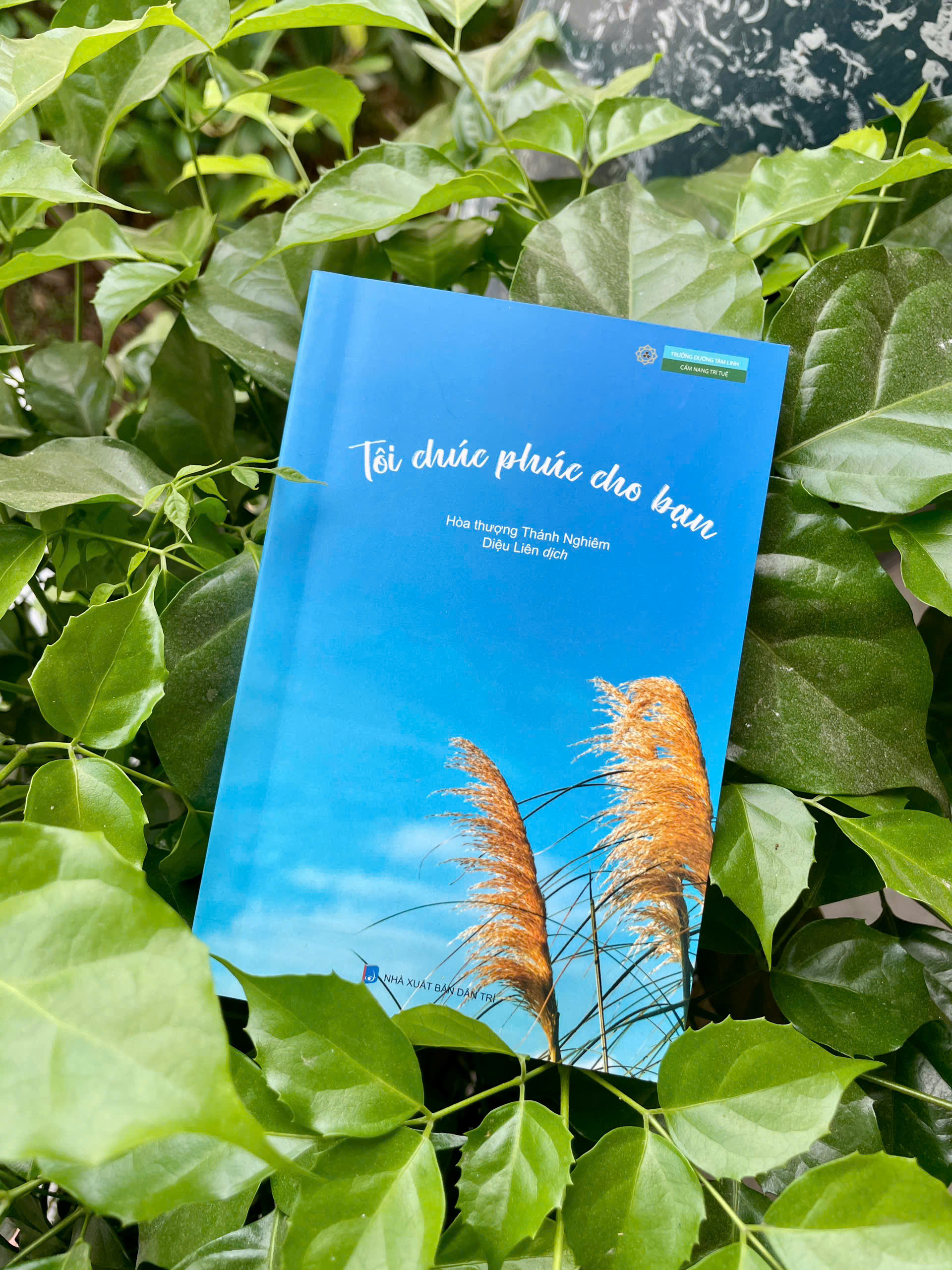 Sách - Tôi chúc phúc cho bạn - Hòa thượng Thánh Nghiêm - Vĩnh nghiêm Books