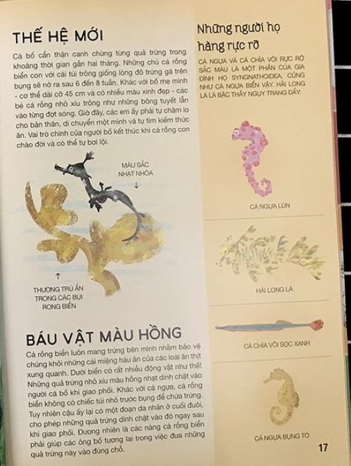 Tất Tần Tật Về Trứng (HH)
