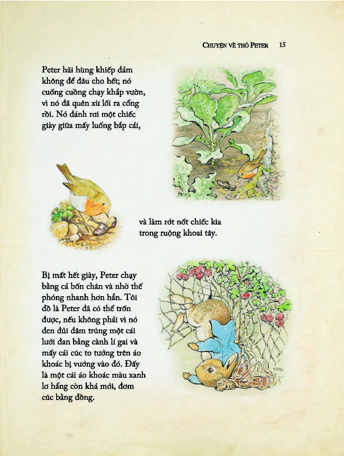 Một Cậu Thỏ Nghịch Ngợm Kinh Khủng - Tuyển Tập Những Truyện Hay Nhất Của Beatrix Potter (Tái bản 2024) - Beatrix Potter; Ngô Hà Thu dịch