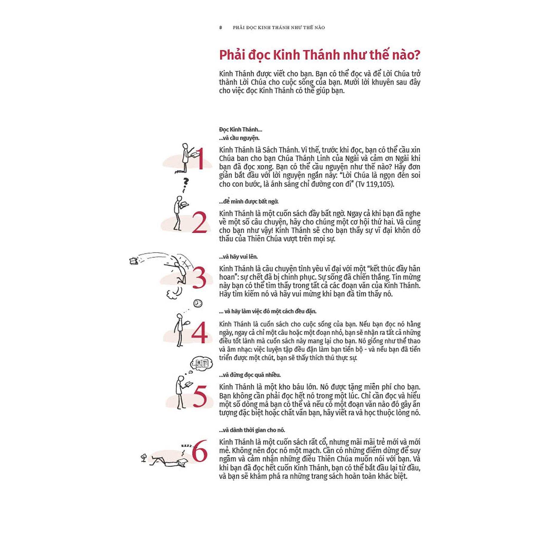 Sách - Kinh Thánh Cho Giới Trẻ - Bayard Việt Nam