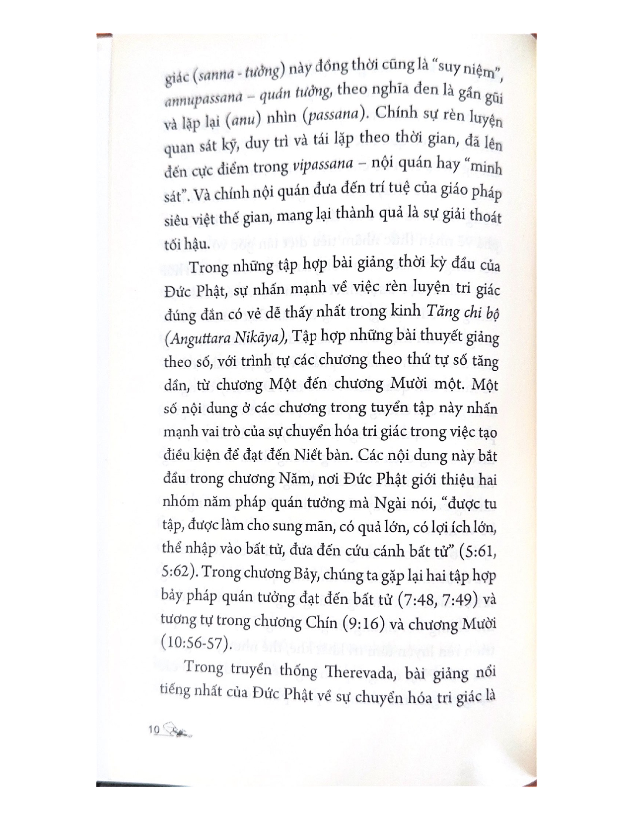 Thiền Định Về Tri Giác