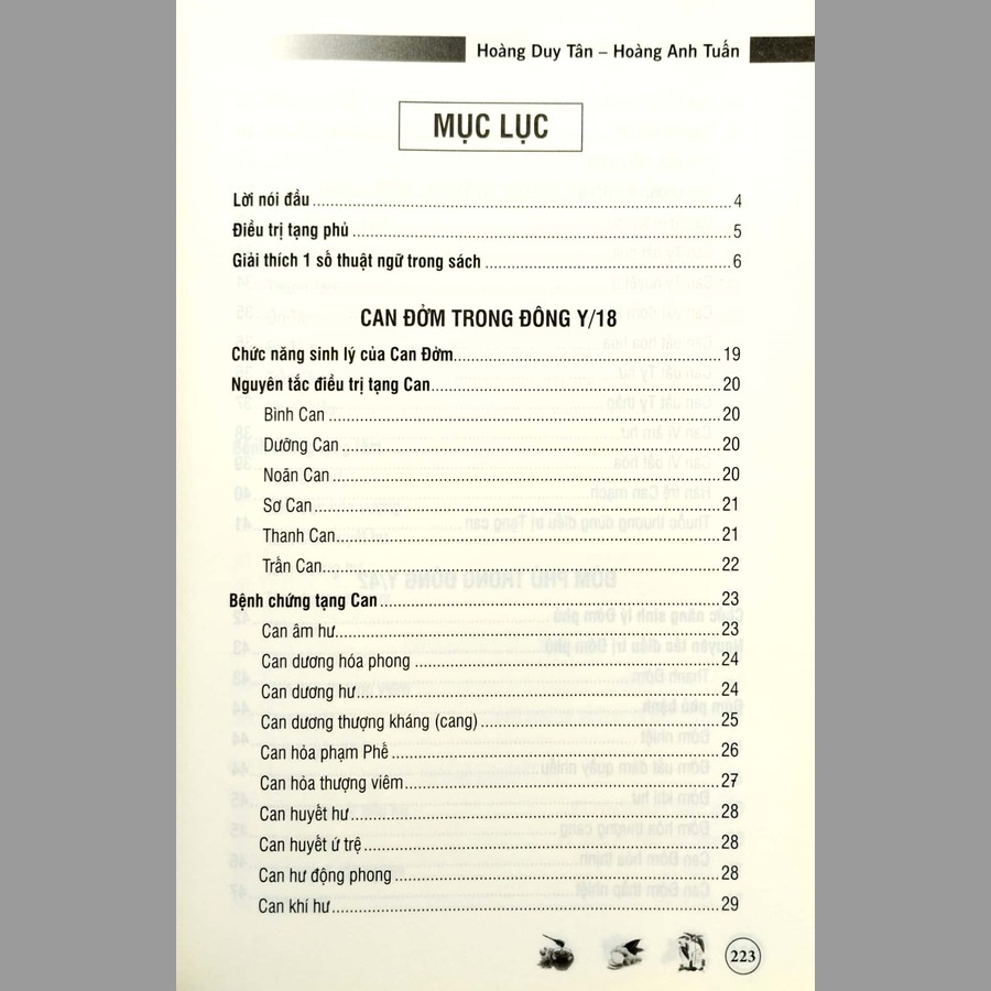 Điều Trị Tạng Phủ Theo Đông Y (Bìa Mềm)