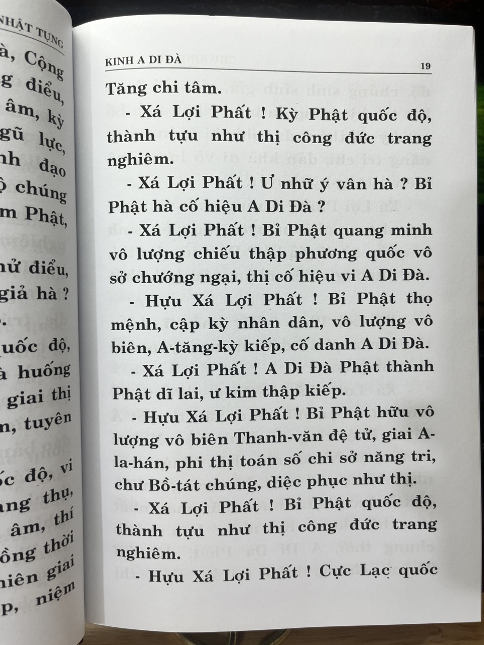 Sách - Chư Kinh Nhật Tụng - Các bộ kinh Phật quan trọng cho Phật tử tụng niệm mỗi ngày