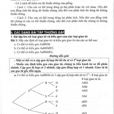 Bồi Dưỡng Học Sinh Giỏi Sinh Học 789 - Phan Khắc Nghệ - HA
