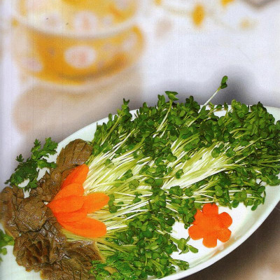 Thực Đơn Nấu Ăn Đơn Giản - Tập 1