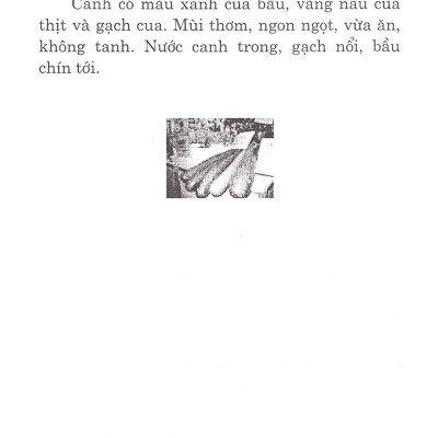 Các Món Canh Ngon (Tái Bản)