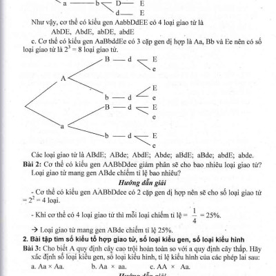 Bồi Dưỡng Học Sinh Giỏi Sinh Học 789 - Phan Khắc Nghệ - HA