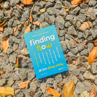 Finding Flow - Đi Tìm Dòng Chảy