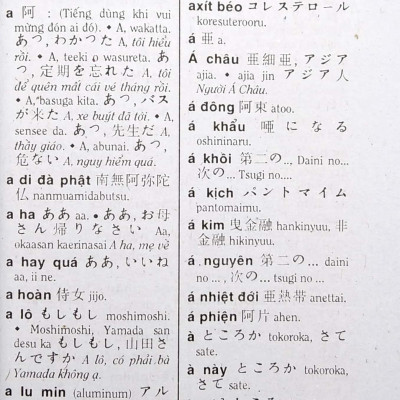 Từ Điển Việt - Nhật