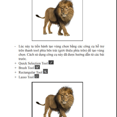 Sách 30 Ngày Thành Thạo Photoshop Kèm Video Bài Giảng và Sổ Tay Tra Cứu