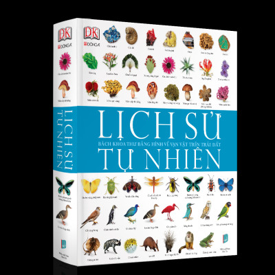 Combo 4 cuốn Tứ đại danh tác bằng hình