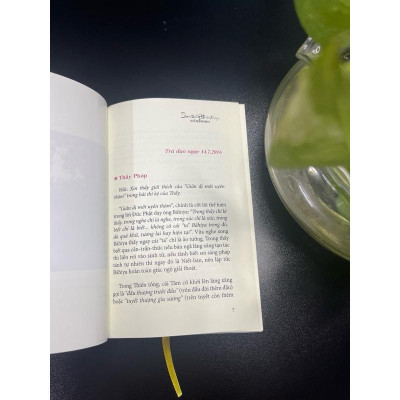 Sách - Soi Sáng Thực Tại (Thầy Viên Minh)