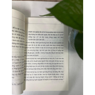 Sách - Sống Trong Thực Tại (Viên Minh)