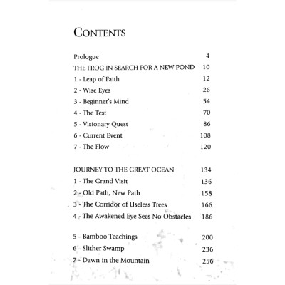 Sách Ping - Vượt Ao Tù Ra Biển Lớn (Tái Bản 2020)