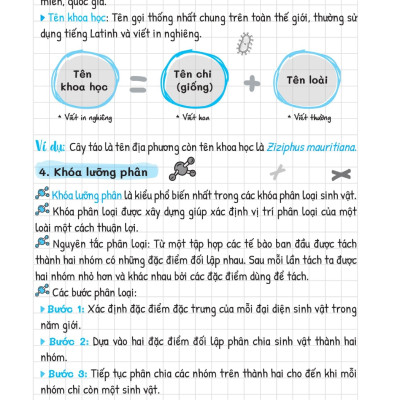 Sổ Tay Kiến Thức - Phương Pháp - Dạng Bài Khoa Học Tự Nhiên Lý - Hóa - Sinh - MEGA