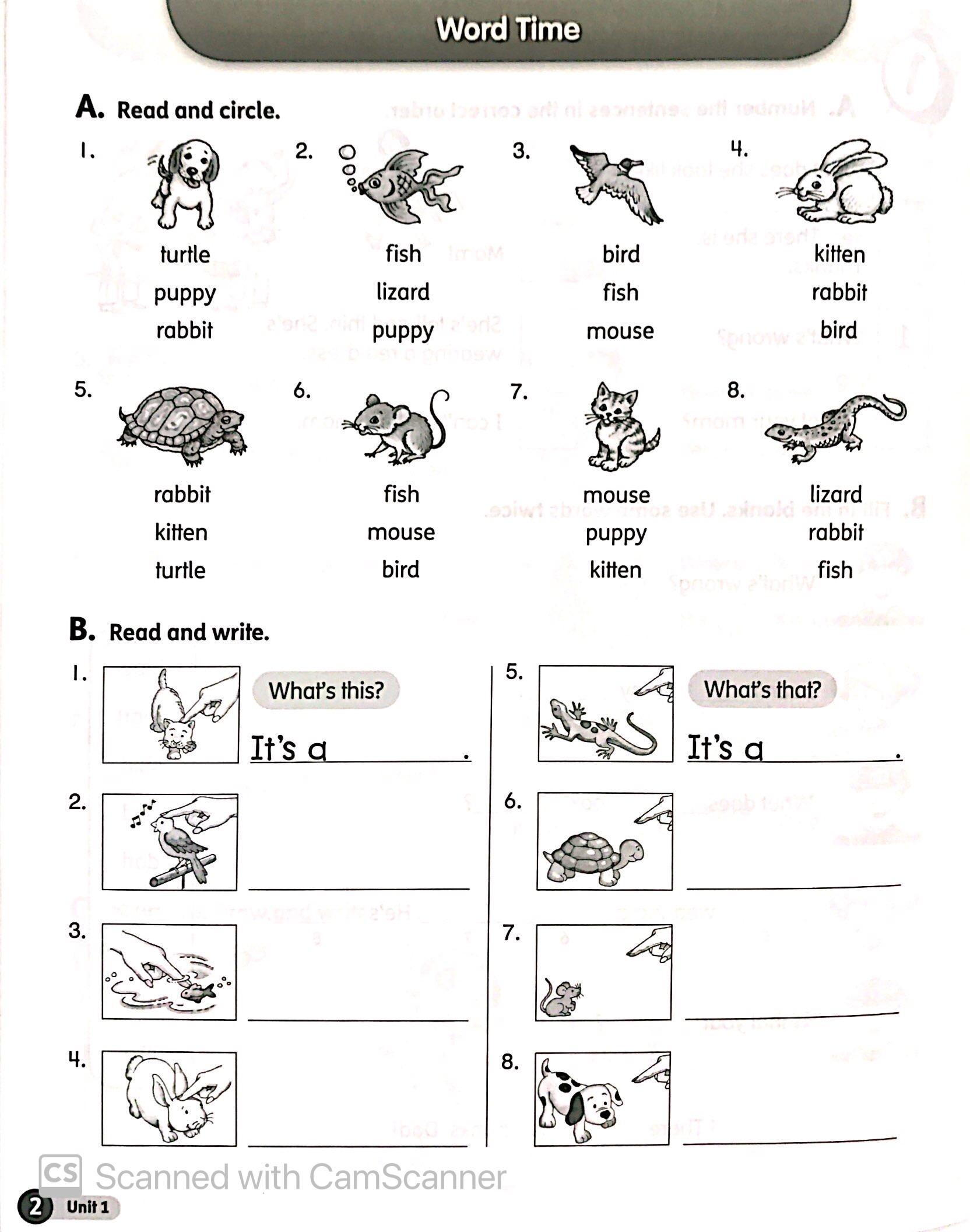 English Time 3 Workbook 2Ed