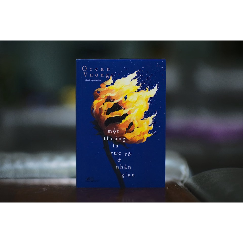 Sách - Một thoáng ta rực rỡ ở nhân gian (On earth we