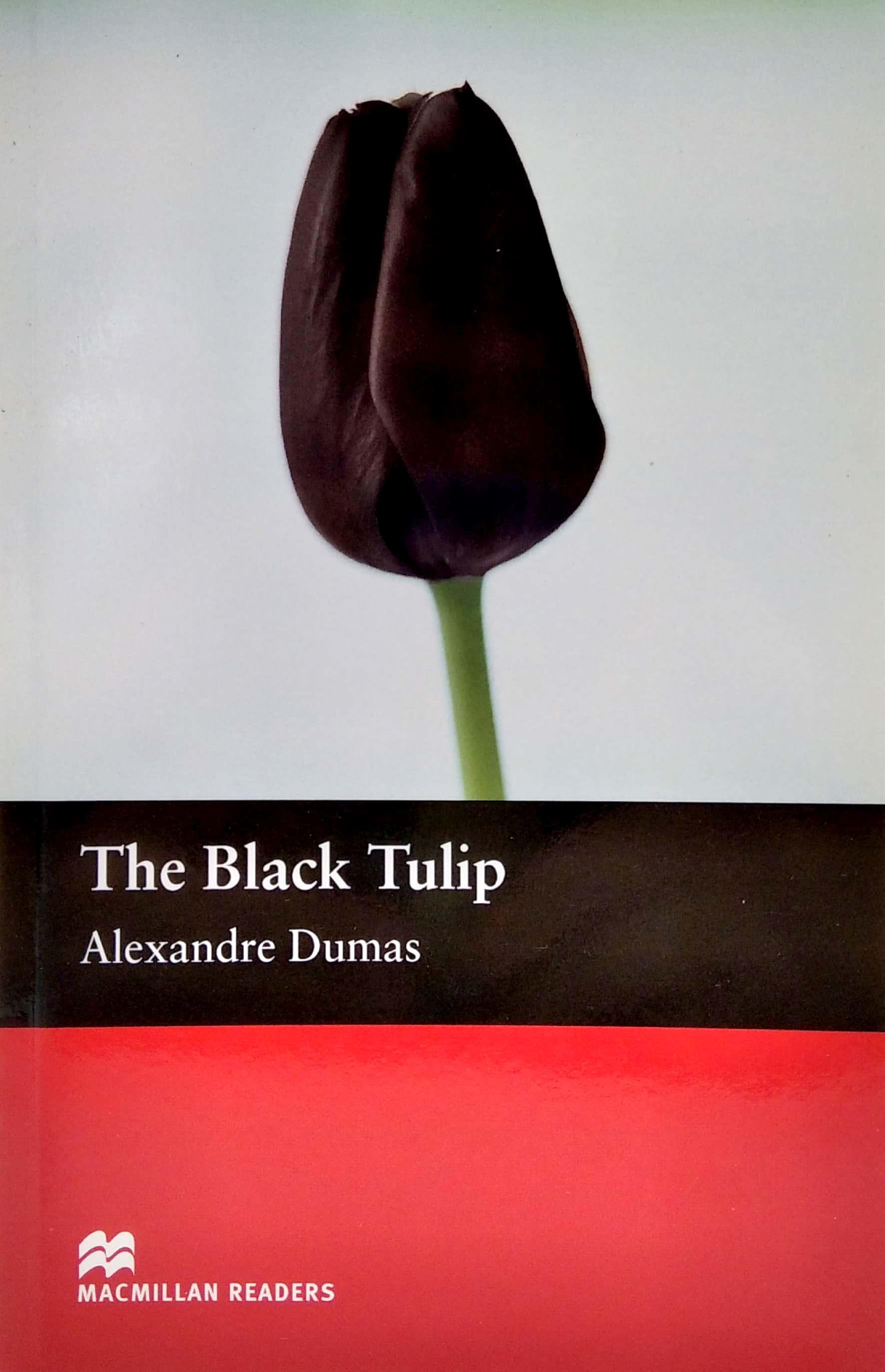 Macmillan Readers: Black Tulip Beg