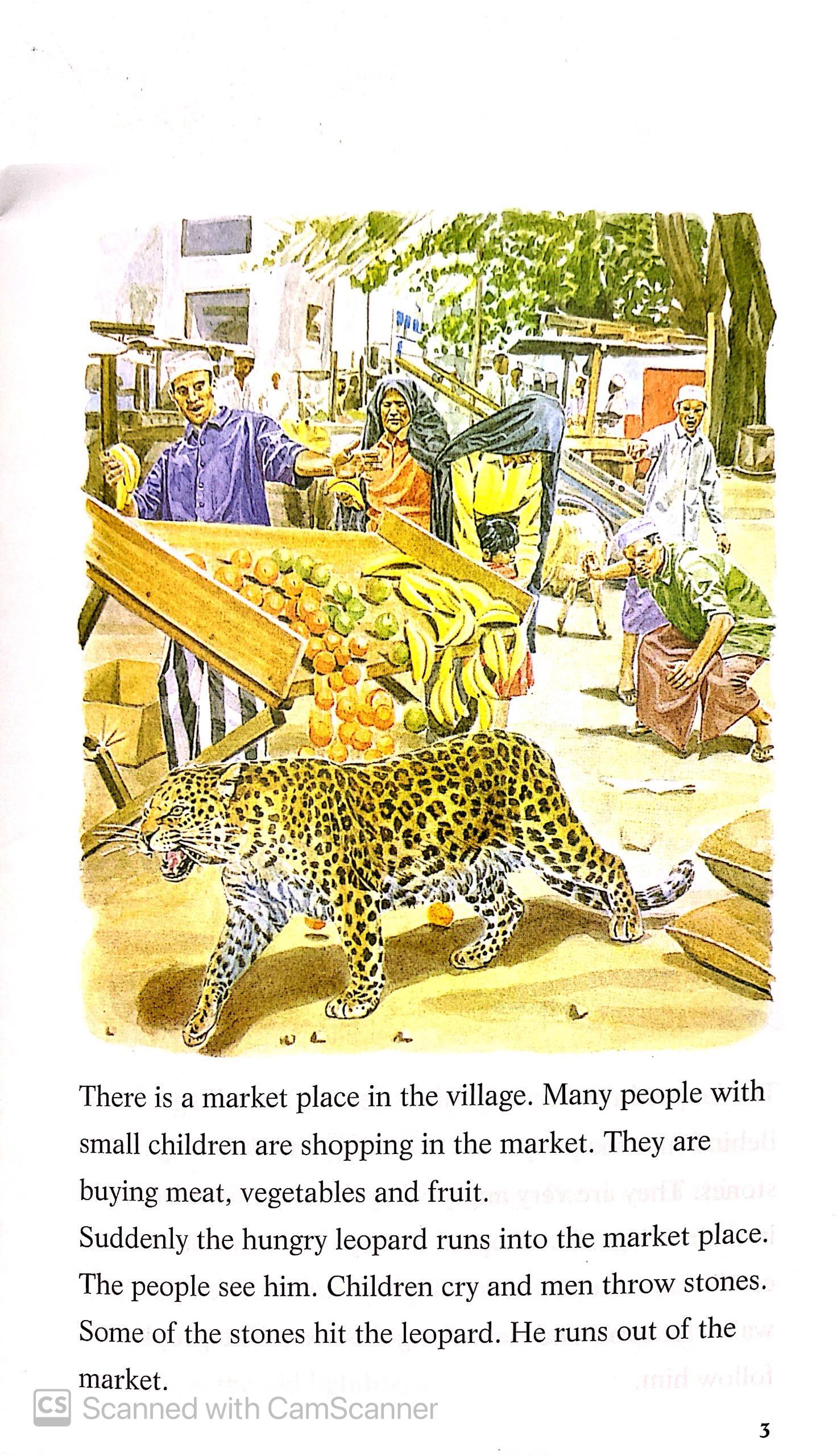 The Leopard and the Lighthouse: Easystarts