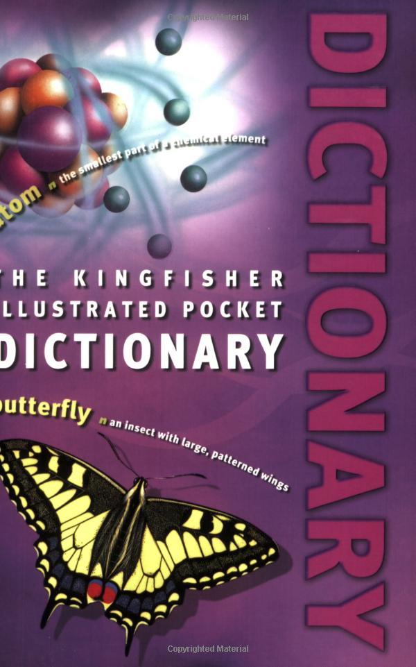 US Kingfisher Illustrated Pocket Dictionary