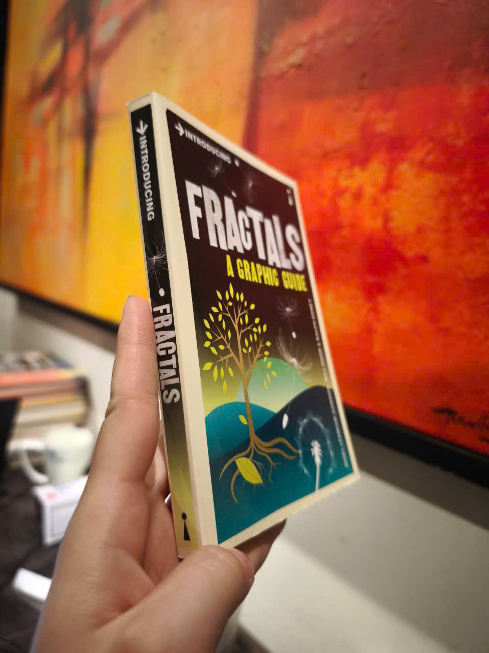 Sách - Introducing Fractals: A Graphic Guide by Nigel Lesmoir-Gordon - Science / Nonfiction