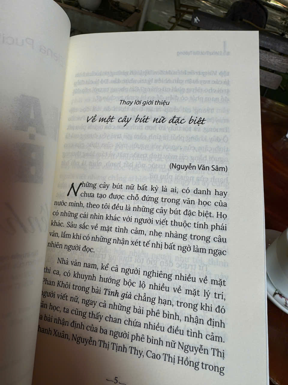 HẠT BỤI LÊNH ĐÊNH (Tập truyện ngắn - Tùy bút) - Elena Pucillo Truong - Trương Văn Dân dịch - NXB Tổng Hợp TP HCM