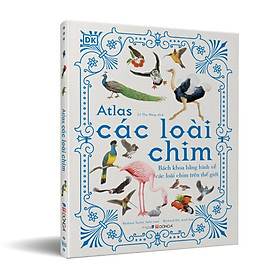 Combo 2 cuốn: Atlas động vật + Atlas các loài chim - Tặng 1 cuốn Vì sao? Như thế nào (Sinh thái hoặc Năng lượng)