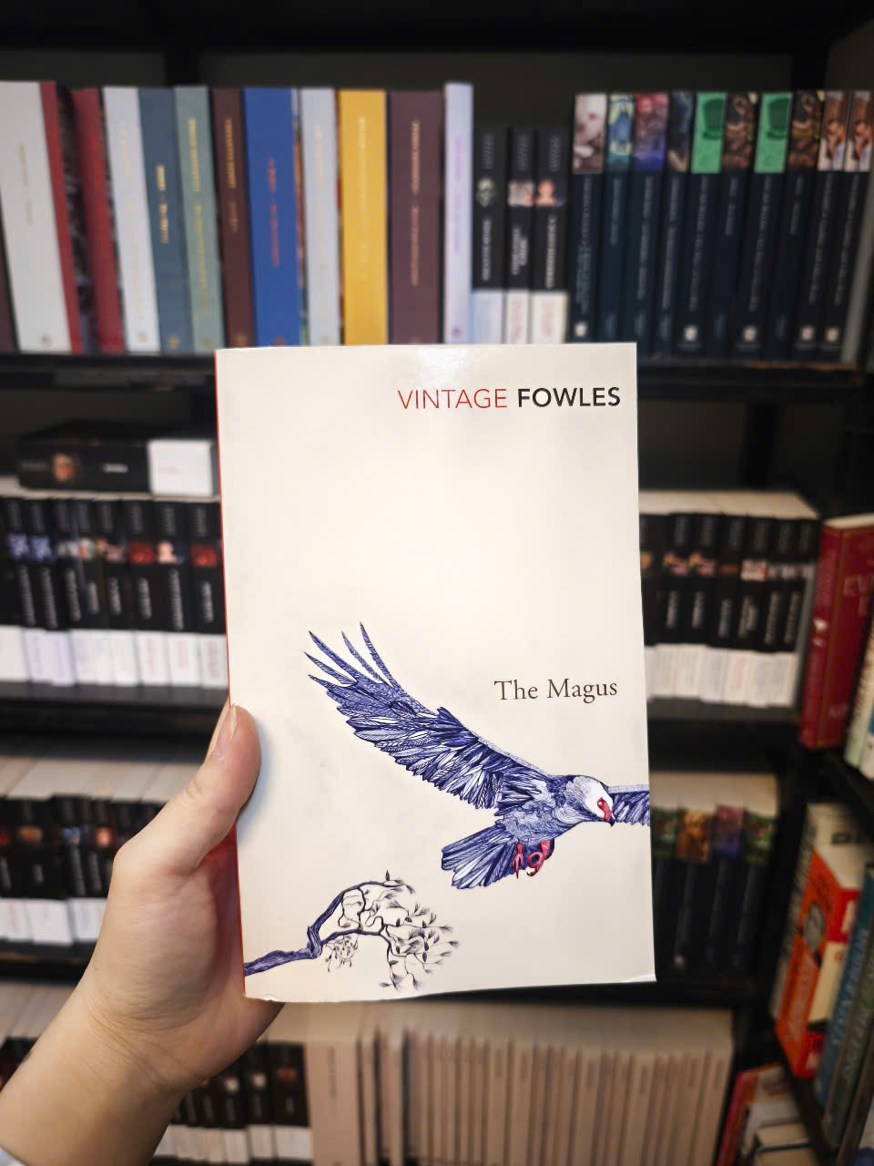 Sách - The Magus by John Fowles - Fiction/ Fantasy /Mystery in English