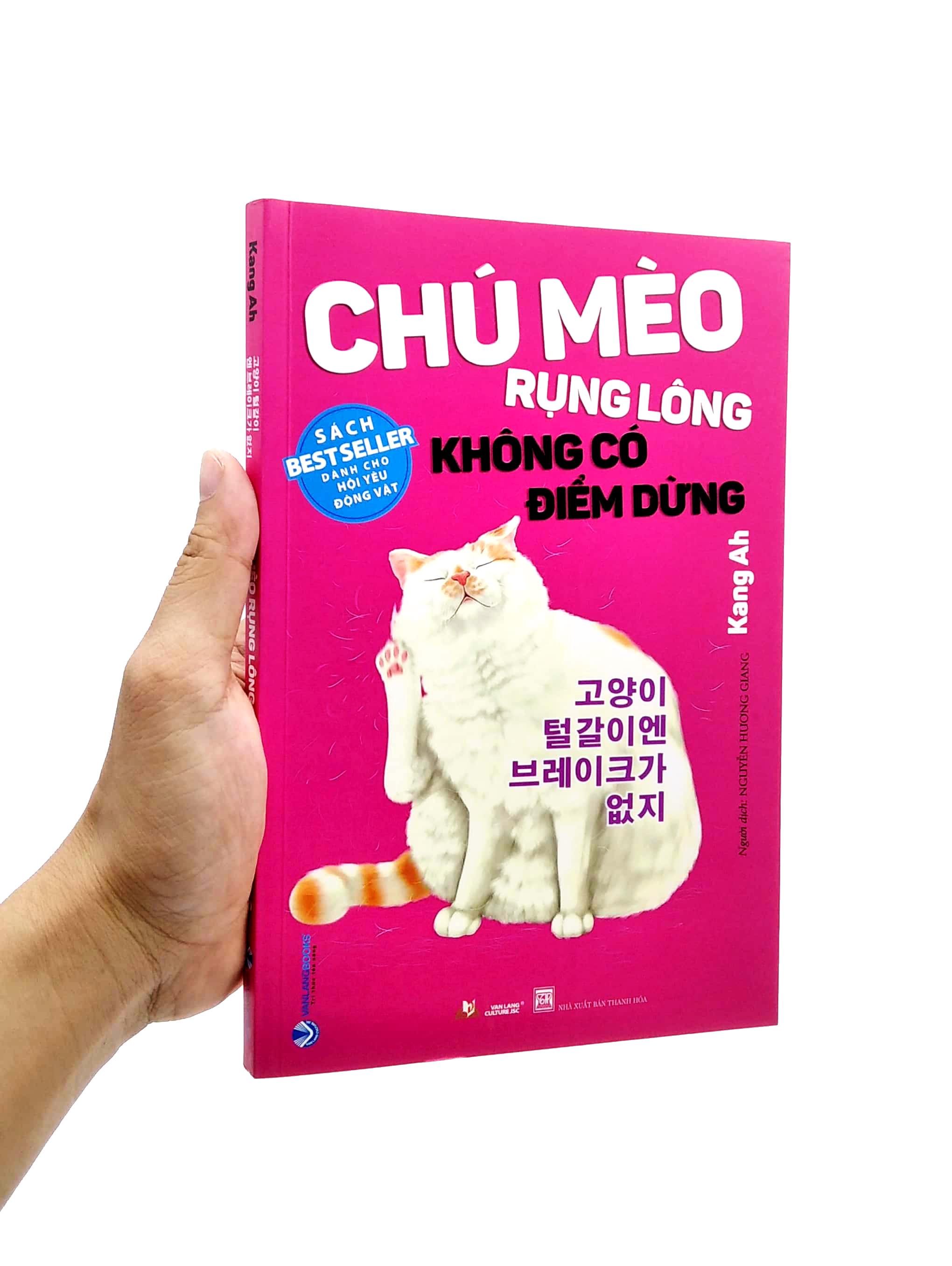 Chú Mèo Rụng Lông Không Có Điểm Dừng