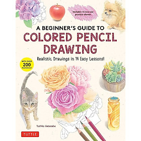 A Beginner