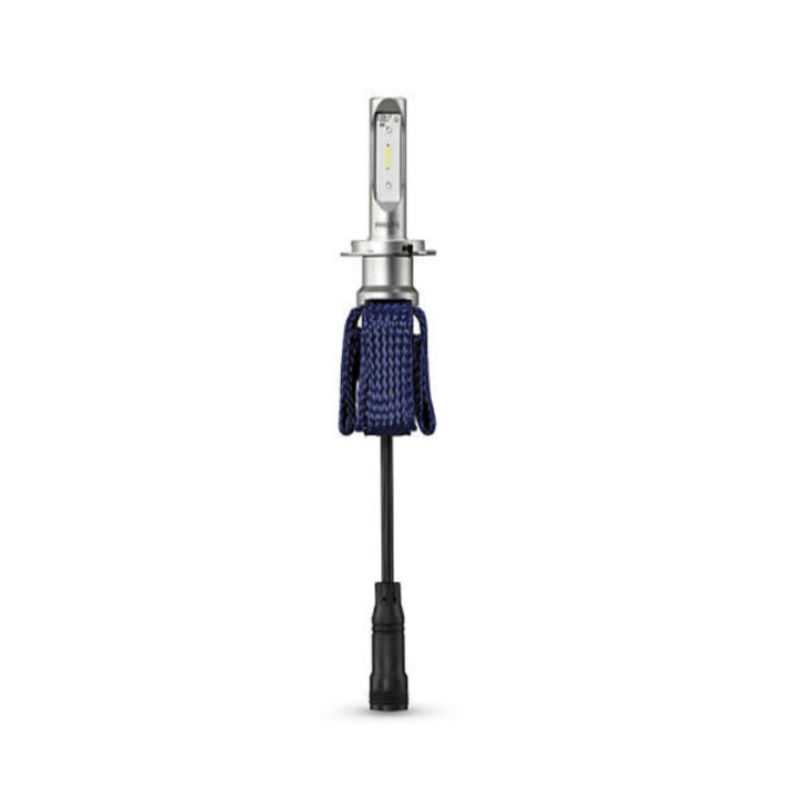 Bóng đèn pha ô tô, xe hơi nhãn hiệu Philips điện áp 12V, nhiệt độ màu 6000K công nghệ LED - Hàng nhập khẩu