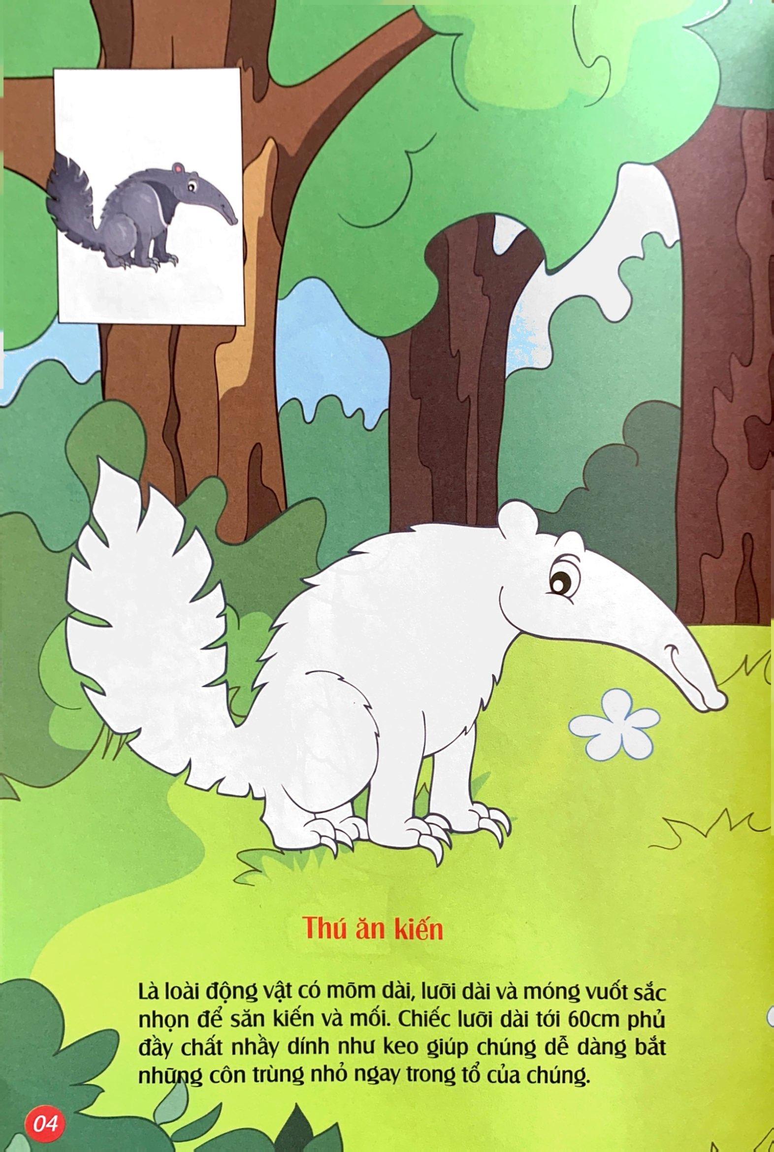 Em Tô Màu - Khu Rừng Kỳ Ảo