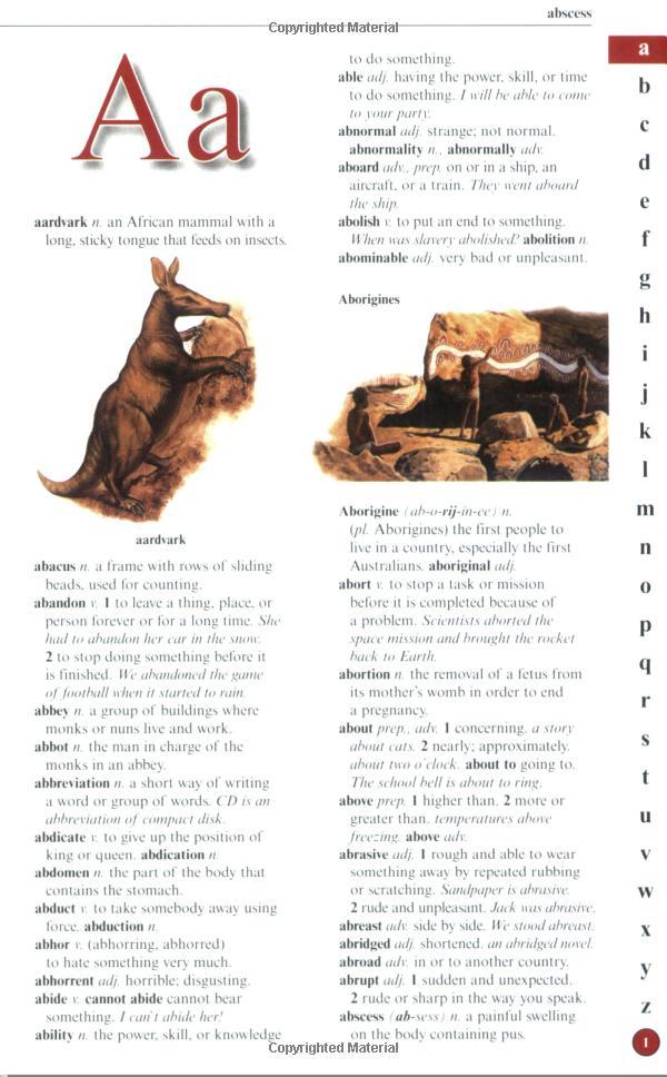 US Kingfisher Illustrated Pocket Dictionary
