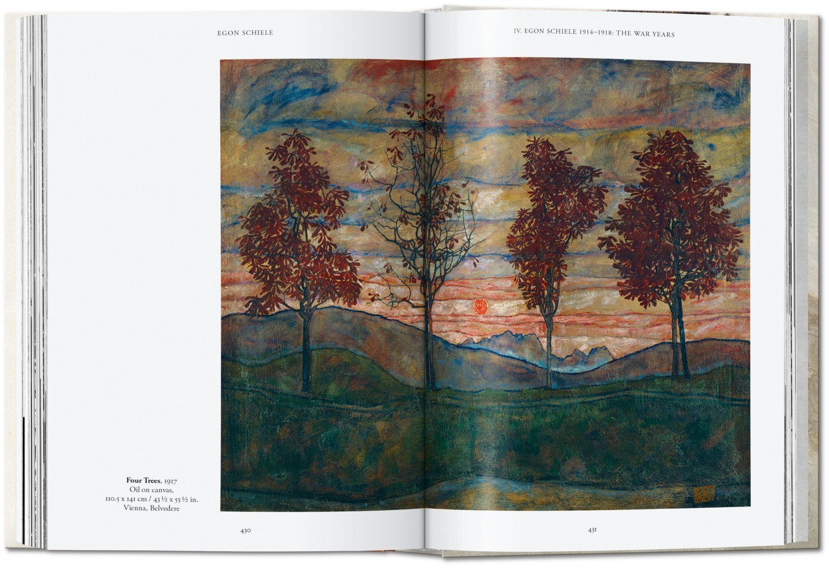 Artbook - Sách Tiếng Anh - Egon Schiele: The Complete Paintings 1909–1918