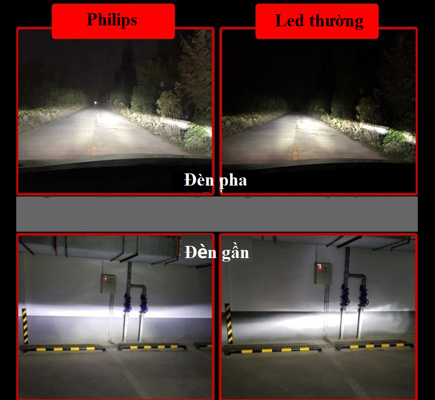 Bóng đèn pha ô tô, xe hơi nhãn hiệu Philips điện áp 12V, nhiệt độ màu 6000K công nghệ LED - Hàng nhập khẩu