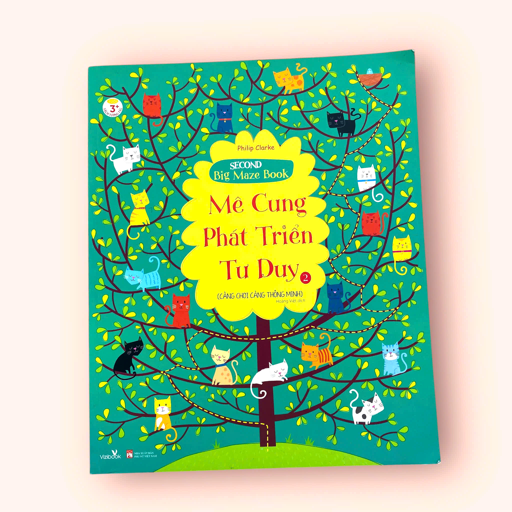 Mê Cung Phát Triển Tư Duy - Tập 2
