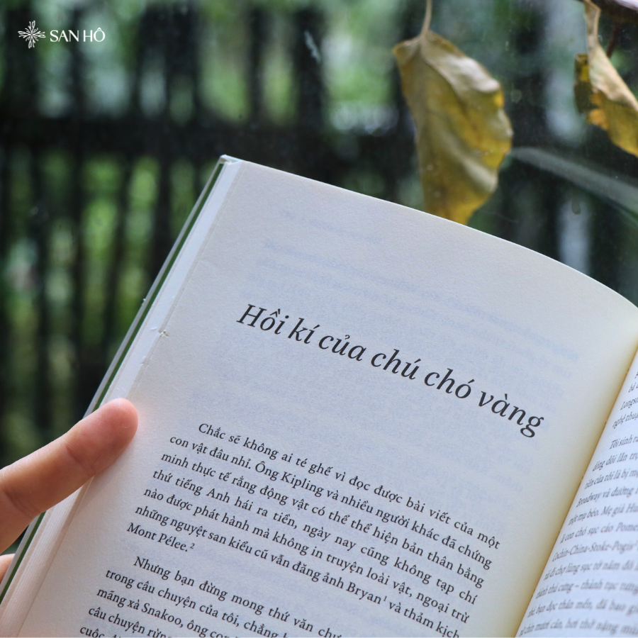 Sách Chiếc Lá Cuối Cùng Và Những Chuyện Khác | Tuyển Tập Truyện Ngắn | O.Henry | San Hô Books