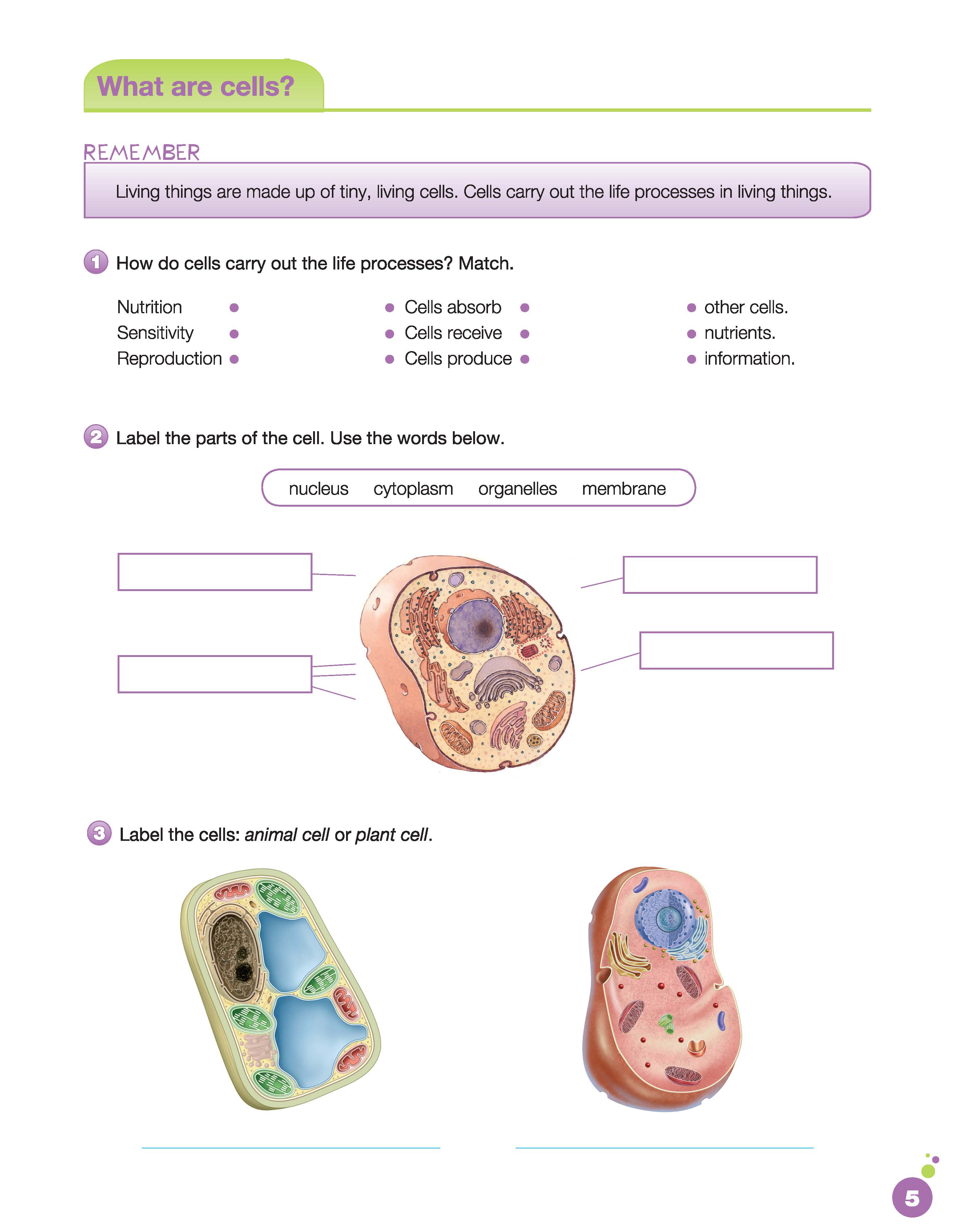 i-Learn Smart Science 5 Activity Book