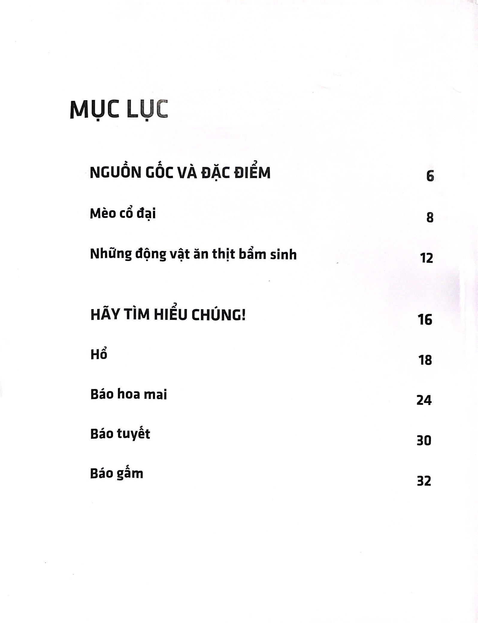 Sách 3D: Những Loài Thú Lớn Họ Mèo