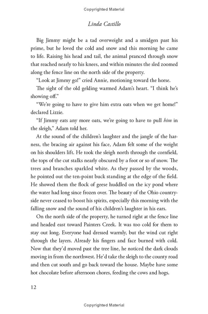 Outsider: A Novel Of Suspense