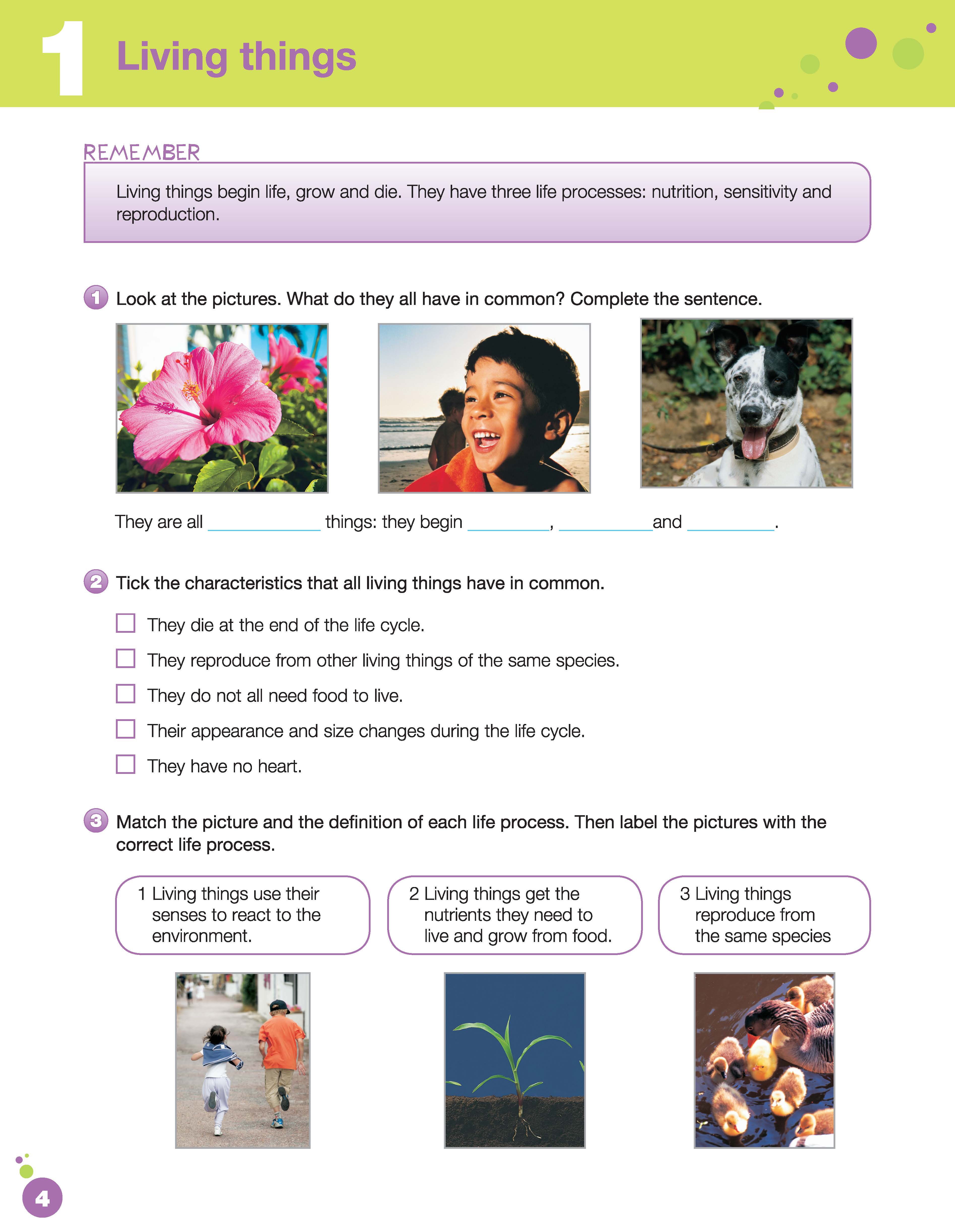 i-Learn Smart Science 5 Activity Book