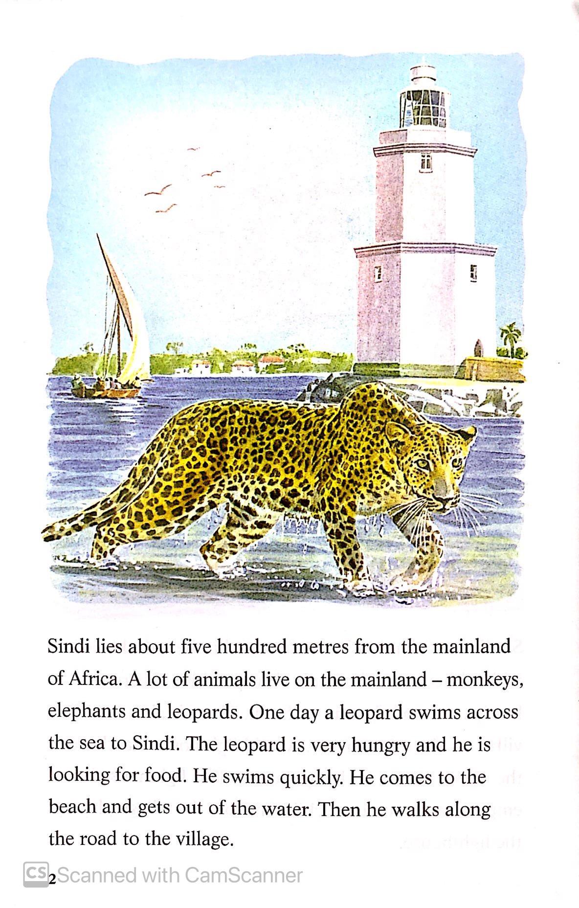 The Leopard and the Lighthouse: Easystarts